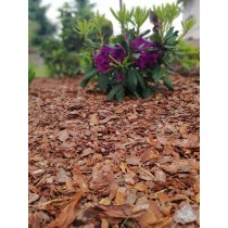 KORA SOSNOWA GRUBA PALETA 80L X 20ST PREMIUM SORTOWANA 3-8CM OGRODOWA MAX