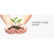 ZESTAW 2 WORKI KORA SOSNOWA 80L GRUBA SORTOWANA 30-80mm NA CHWASTY OZDOBNA