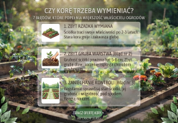 Czy korę trzeba wymieniać? 7 błędów, które popełnia większość właścicieli ogrodów