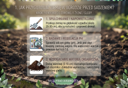 Jak przygotować ziemię w ogrodzie przed sadzeniem?