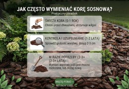 Jak często wymieniać korę sosnową? Praktyczny poradnik