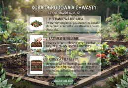 Kora ogrodowa a chwasty – czy naprawdę działa?