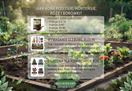 Jaka kora pod tuje, hortensje, róże i borówki? Kompletny poradnik
