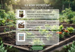 Ile kory potrzeba na m²? Praktyczny kalkulator, tabela i poradnik 2026