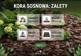 Kora sosnowa – do czego służy? Zastosowanie i zalety