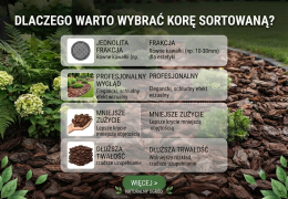 Dlaczego warto wybrać korę sortowaną?