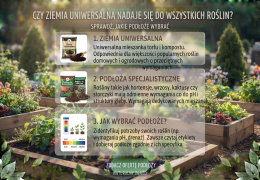 Czy ziemia uniwersalna nadaje się do wszystkich roślin? Sprawdź, jakie podłoże wybrać